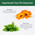 5.29 oz) Nature's Protection Dental Chews for Dogs - Grain Free Dental Sticks - Natural Dog Breath Freshener Treats