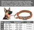 Military Dog Tactical Collar with Control Handle and Heavy Metal Buckle for Medium Large Dogs, Black M