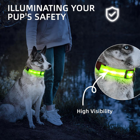 PetIsay Light Up Dog Collar - High Visibility Nylon, USB C Rechargeable & Waterproof LED for Night Walking, Medium Green