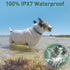 Dog Training Shock Collar with Remote 3300ft Range - Waterproof Rechargeable E Collar for 10-110lbs Dogs
