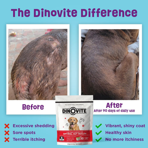 Dinovite Probiotic Supplement for Dogs, Omega 3 for Hot Spot Relief, Skin & Coat Supplement, 30 Day Supply for Large