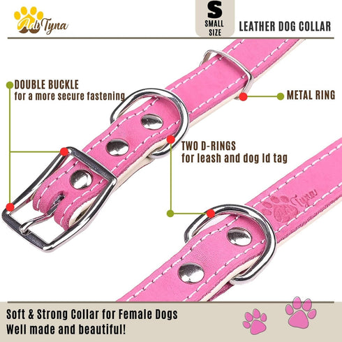ADITYNA Heavy-Duty Pink Leather Dog Collar for Small Dogs, Soft Padded for Comfort - Girl Dog Collar for Walking,
