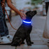 LED Dog Collar, USB Rechargeable Lighted Adjustable Nylon Safety Collar for Dogs Glow in The Dark (Blue, Medium)