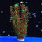 ALEGI Large Artificial Aquarium Plants - Plastic Fish Tank Decoration, Safe for All Fish, 21 Inches Tall (21inch Red &