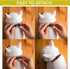 Cat Collar Stars and Moon, 4-Pack Reflective with Bell, Solid & Safe Nylon Breakaway Collars for Cats