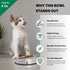 ICONIC PET 8 oz/ 1 Cup Heavy Weight Stainless Steel Elevated High Back Pet Food/Water Bowl with Removable Anti Skid Rubber Ring - Dog/Cat Feeding Bowl in Unique Design Is Dishwasher Safe, 92185