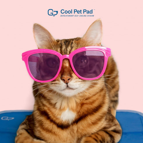 The Green Pet Shop Cool Pet Pad - Extra Small, Blue - Self-Cooling, Pressure Activated Mat for Dogs & Cats up to 8 lbs
