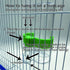 Seneme Automatic Bird Water Dispenser for Cage - 2 Pack Clear Food Feeder with Plastic Fruit Vegetable Feeder