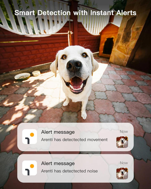 ARENTI 5G 4MP 2-Way 64G Storage(P2Q 64G 1PC) Pet Camera, No Subscription Indoor Security Camera for Dog/Cat/Baby, Free