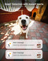 ARENTI 5G 4MP 2-Way 64G Storage(P2Q 64G 1PC) Pet Camera, No Subscription Indoor Security Camera for Dog/Cat/Baby, Free