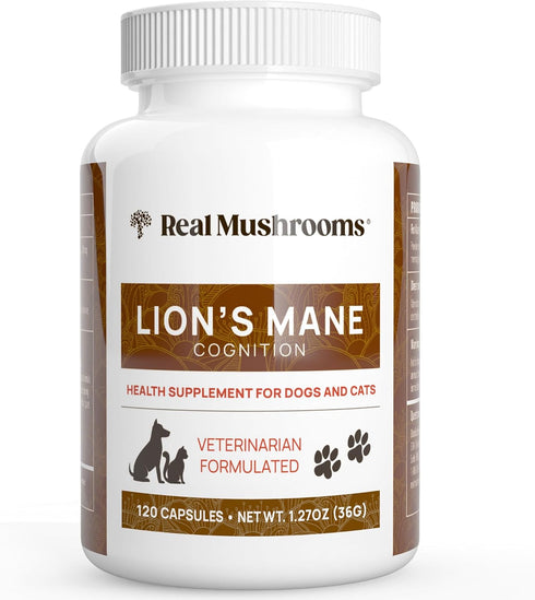 Real Mushrooms Lions Mane Pet Mushroom Supplement Pet Wellbeing Capsules for Cat