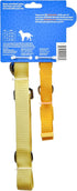 The Dodo All Nylon Yellow Collar and Leash Set, Small, Waterproof Matching Set for Beach Day or Lake Trips