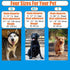Prong Training Collar for Dogs, Adjustable Dog Pinch Collar with Quick Release Buckle, No Pull Collar for Small Medium