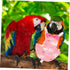 Reusable Parrot Flight Suit Bird Diaper Clothes Lightweight Breathable Soft Easy Wear for Pet Birds for Parties