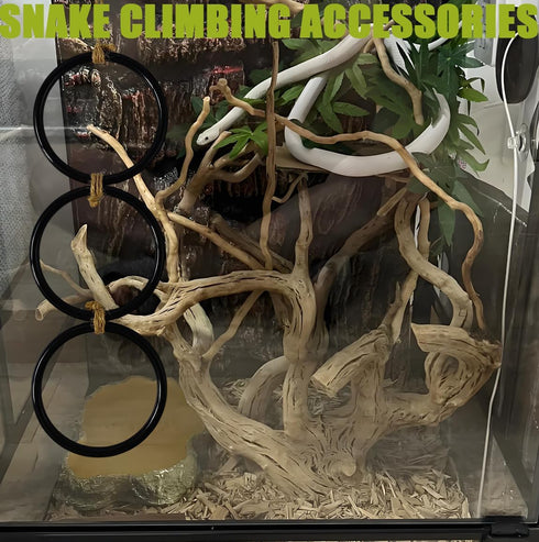 Ajqxh Snake Enrichment Toys Ball,Jungle Gym Ball and Enrichment Rings for Small Ball Python Corn Snakes,Reptiles
