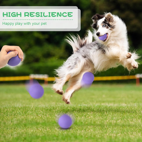 12 Pieces Colorful Rubber Dog Balls Tennis Balls for Fetch Training, 2.4 Inch Interactive Bounce and Floatable