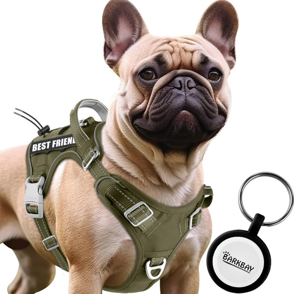 BARKBAY Service Dog Vest - Tactical Dog Harness for Medium Large Dogs, Personalized Dog Tags, No Pull, Reflective