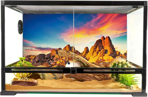 YongFoto Reptile Terrarium Background 30x18 inch Reptile Tank Background Desert Rocky Bush Thorns Western Wilderness Reptile Habitat Background Bearded Dragon Fish Tank Aquarium Background Backdrop