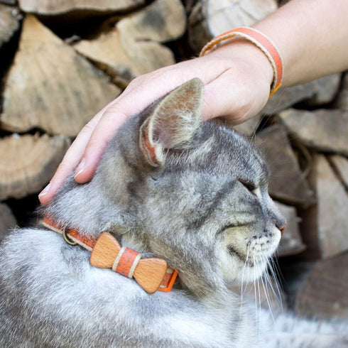 Pettsie Breakaway Cat Collar with Bow Tie and Matching Bracelet, Adjustable Cotton Kitten Collar, 8-11 Inches, Orange