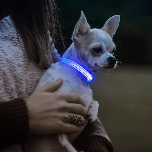 Visinite Light Up Dog Collars for Small Dogs, LED Dog Collar Light Rechargeable, Fully Adjustable Glow in The Dark Dog