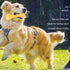 NTRR Bite-Resistant Squeaky Chewing Dog Toys, Hamburger Pet Toys for Golden Retrievers and More