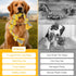 ETACCU Dog Rope Toys for Large & Medium Dogs, 2 Pack 22 Inch Tug of War Toy for Aggressive Chewers, Indestructible