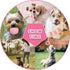 Puppy Toys, 6 Pack Teething Chew Toys for Small Breed, Cute Pink Soft Rubber Durable Dog Toys Set