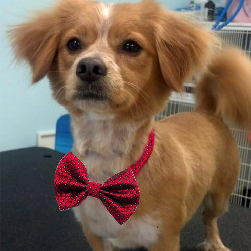 10pcs Small Dog Bowties for Puppy Boys, Adjustable Plaid Neck Bows for Party Costumes and Grooming