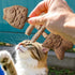 Generic Cat Teething Toy - Interactive Kitten Chew Toy for Indoor Outdoor Play, Fish Bone Wooden Teether | Relaxation