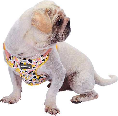 Blueberry Pet Soft & Comfy Blooming Floral No Pull Mesh Dog Harness Vest, Creamy White, Chest Girth 17.5"-21"