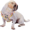 Blueberry Pet Soft & Comfy Blooming Floral No Pull Mesh Dog Harness Vest, Creamy White, Chest Girth 17.5"-21"
