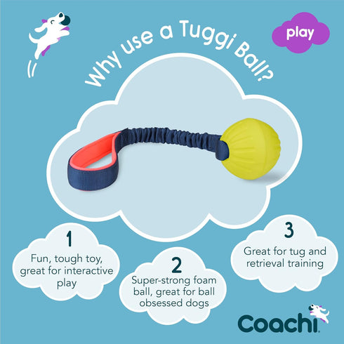 Coachi Tuggi Ball - Interactive Dog Toy for Tug of War, Strong Bungee Handle for Training and Play