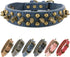 Spiked Anti-Bite Dog Collar, Bronze Round Studded, Blue, XS