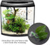 Fudax Artificial Leaf, Suction Cup Looking Artificial Plant Leaf for Betta for Aquariums Supply by Fupi