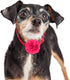 WILLBOND 4 Pieces Multicolored Dog Flower Bow Collar Set, Pet Bow Collar Charms for Puppy Dog Collar Cat Grooming