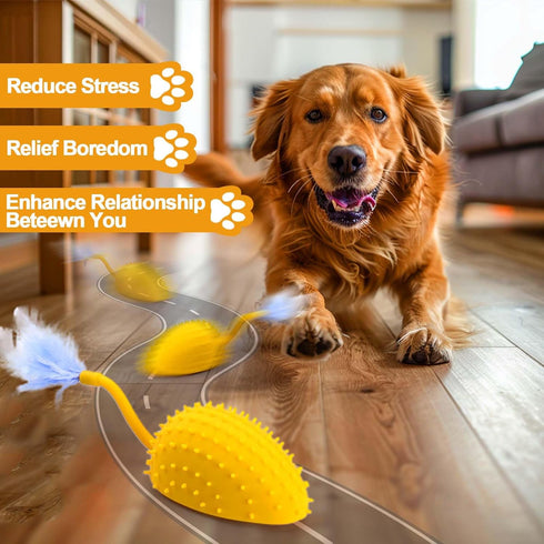 Mity Rain Interactive Dog Toys, Remote Control Dog Toy with Feather Tail, Funny for Small Medium Dogs