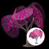 NIHUIFA Fishtank Artificial Plant Landscape Fish Tanks Decorations for Aquariums Terrarium Shrimp Fluorescence