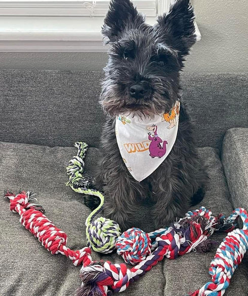 Pacific Pups Rope Dog Toys for Small and Medium Dogs, Cotton Ropes for Boredom, Non-profit Dog Rescue