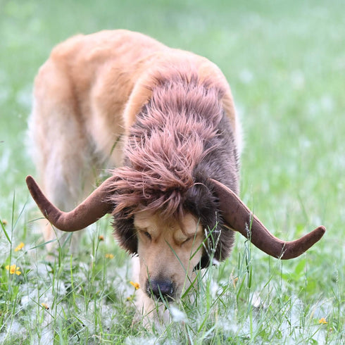 Onmygogo Funny Pet Moose Costumes for Dogs, Cute Furry Wig for Halloween Christmas, Pet Clothing Accessories, Size L