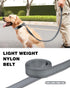 6ft Dog Leash for Small Medium Large Dogs | Reflective Nylon | Padded Handle | 3/4 inch Wide | Grey
