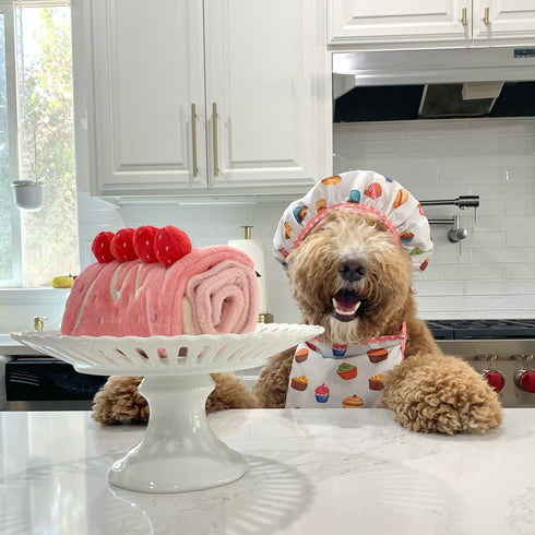 Dog Enrichment Toys, Puzzle Toys, Interactive Birthday Cake Toys for Boredom and Stimulating, Slow Feeding Crinkle Gift