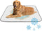 imiBBWQu Cooling Dog Bed Cute Easter Eggs Bunny Green Dog Cooling Mat Washable