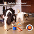Cheerble Smart Interactive Dog Toy, Wicked Ball Rolly, Automatic Moving, Bouncing, Rotating, E-TPU Material, Active
