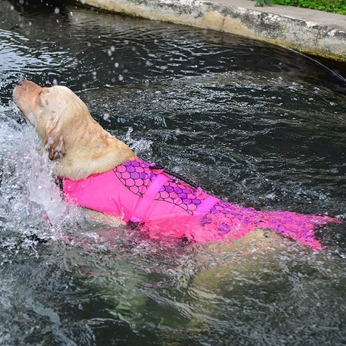 Queenmore Dog Life Jacket, Adjustable Ripstop Shark Safety Vest with High Buoyancy and Durable Rescue Handle, Pink Fish
