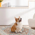 2 Pack, 2026 36"x48" Washable Pee Pads for Dogs Puppy Pads with Pheromones, Upgraded PuppyPad Super Absorbent