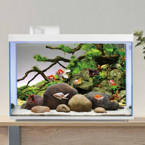 AWERT 48x18 inches Branches Aquarium Background, Stone River Bed & Lake Fish Tank Background, Green Algae Vinyl