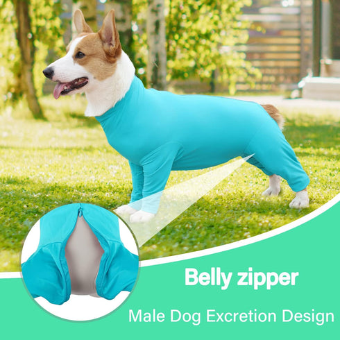Etdane Recovery Suit for Dogs, Surgical Recovery Suit for Female Spay, Anti Licking Wounds Dog Shedding Suit Blue/Small