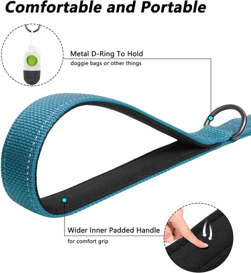 PetiFine 4FT Heavy Duty Dog Leash - Soft Padded Double Handle, Reflective Nylon for Large Medium Small Dogs, Blue