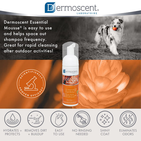 Dermoscent Essential Mousse 150ml Dry Shampoo for Dogs & Small Mammals, Rinse-Free Foam for Odour Control.
