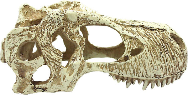 Komodo Reptile Terrarium Realistic T-Rex Skull Ornament Decor | Easy to Clean Under Water Aquarium or Dry Habitat Decoration Accessory, Large, 6.7"x 3.7"x 3.1"